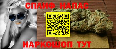 спайс Аша
