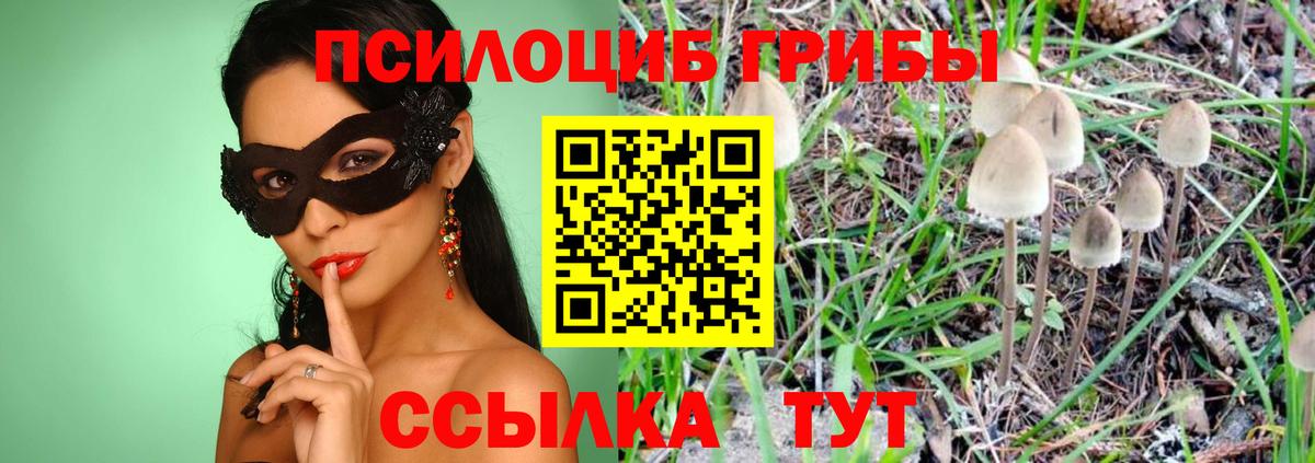 Артёмовский  Галлюциногенные грибы MAGIC MUSHROOMS  Псилоцибиновые грибы Psilocybe  Вход с VPN 